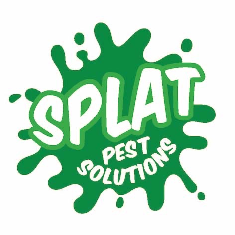 Splat Pest Solutions